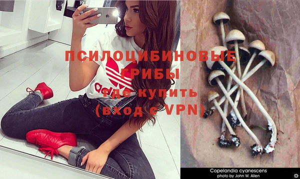 меф Липки