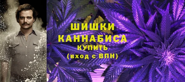 apvp Лиски