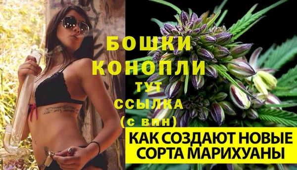 ECSTASY Лихославль