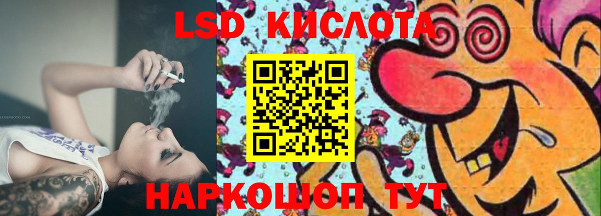 A PVP Павлово