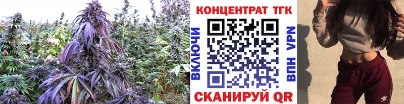 купить наркотики цена  Павлово  Дистиллят ТГК Wax 