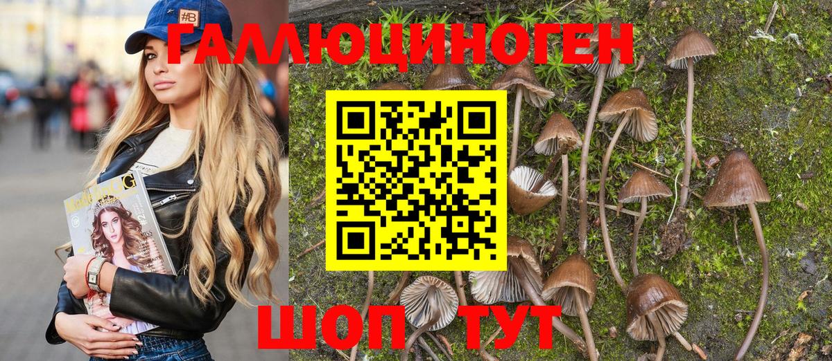 Галлюциногенные грибы GOLDEN TEACHER  Павлово 