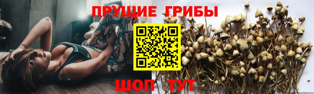 Галлюциногенные грибы ЛСД Павлово