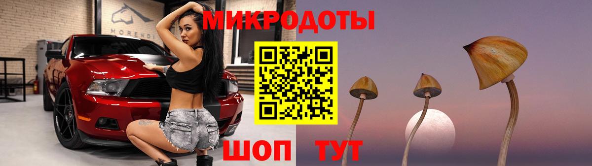 Псилоцибиновые грибы Magic Shrooms  сколько стоит  Павлово  Вход с VPN 